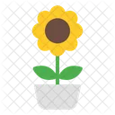 Girasol  Icono