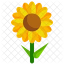 Girasol  Icono