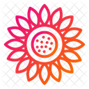 Girasol  Icon