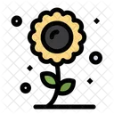 Girasol  Icono