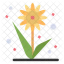 Girasol  Icon