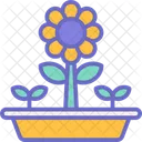 Girasol  Icono