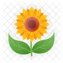 Girasol  Icono