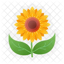 Girasol  Icono