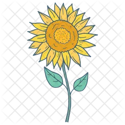 Girasol  Icono