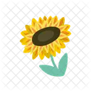 Flor Floral Florecer Icon