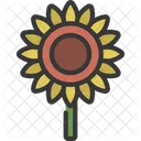 Girasol  Icono