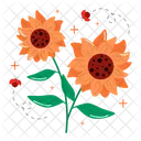 Girasol  Icon