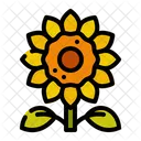 Girasol  Icono