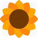 Girasol  Icono