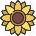 Girasol  Icon