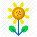 Girasol  Icono