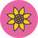 Girasol Flor Otono Icono