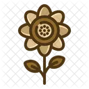 Girasol  Icon