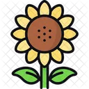 Girasol Helianthus Petalos Icon