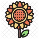 Girasol  Icono