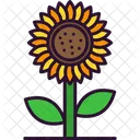 Girasol  Icono