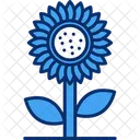 Girasol  Icono