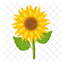 Girasol  Icono