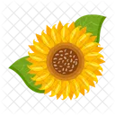 Girasol  Icono