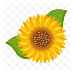 Girasol  Icono