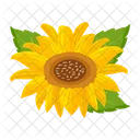 Girasol  Icono