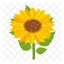 Girasol  Icono