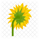 Girasol  Icono