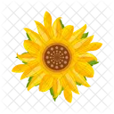 Girasol  Icono