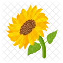 Girasol  Icono