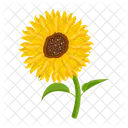 Girasol  Icono