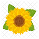 Girasol  Icono