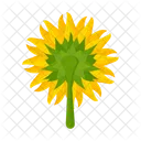 Girasol  Icono