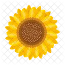 Girasol  Icono