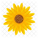 Girasol  Icono