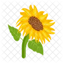 Girasol  Icono