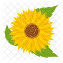 Girasol  Icono