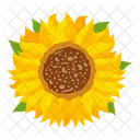 Girasol  Icono