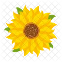 Girasol  Icono