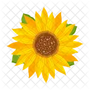 Girasol  Icono