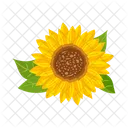 Girasol  Icono