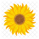 Girasol  Icono