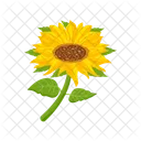 Girasol  Icono