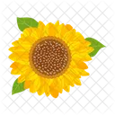 Girasol  Icono