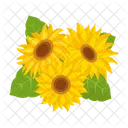 Girasol  Icono