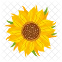 Girasol  Icono