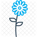 Girasol  Icon