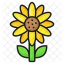 Girasol Flor Floral Icono