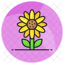 Girasol Flor Floral Icono