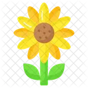 Girasol Flor Floral Icono